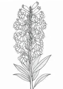 竜胆の植物画