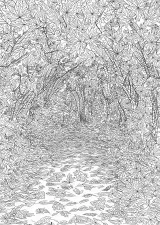 紅葉道の風景画