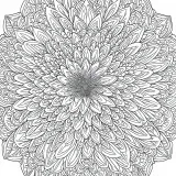 マンダラ模様（花）の塗り絵（大人向け）