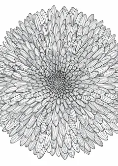 菊の植物画