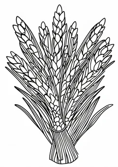 正月飾りの塗り絵