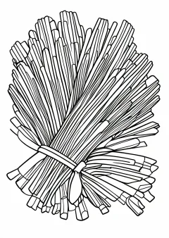 わらしべの塗り絵