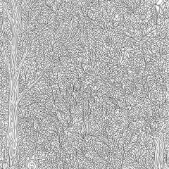 森の風景画（大人向け）