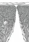 田んぼの塗り絵