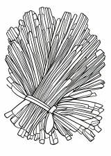 わらしべの塗り絵