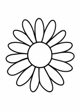 紫苑の花の塗り絵
