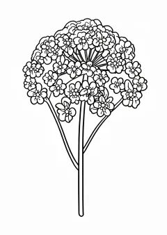 女郎花の塗り絵