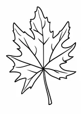 紅葉の塗り絵（高齢者向け・簡単）