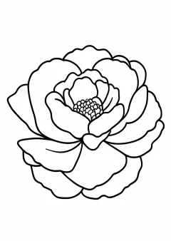 数字ぬりえ・つばき（脳トレ）