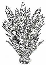 正月飾りの塗り絵