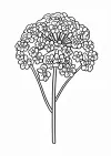 女郎花の塗り絵