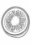 数字ぬりえ・キウイ（脳トレ）