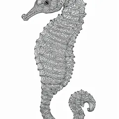 たつのおとしごの模様画（大人向け）