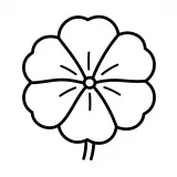 なでしこの花の塗り絵