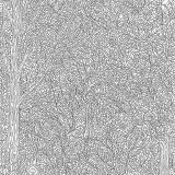 森の風景画（大人向け）
