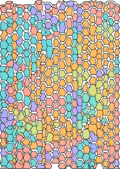 亀甲文様の塗り絵（見本）